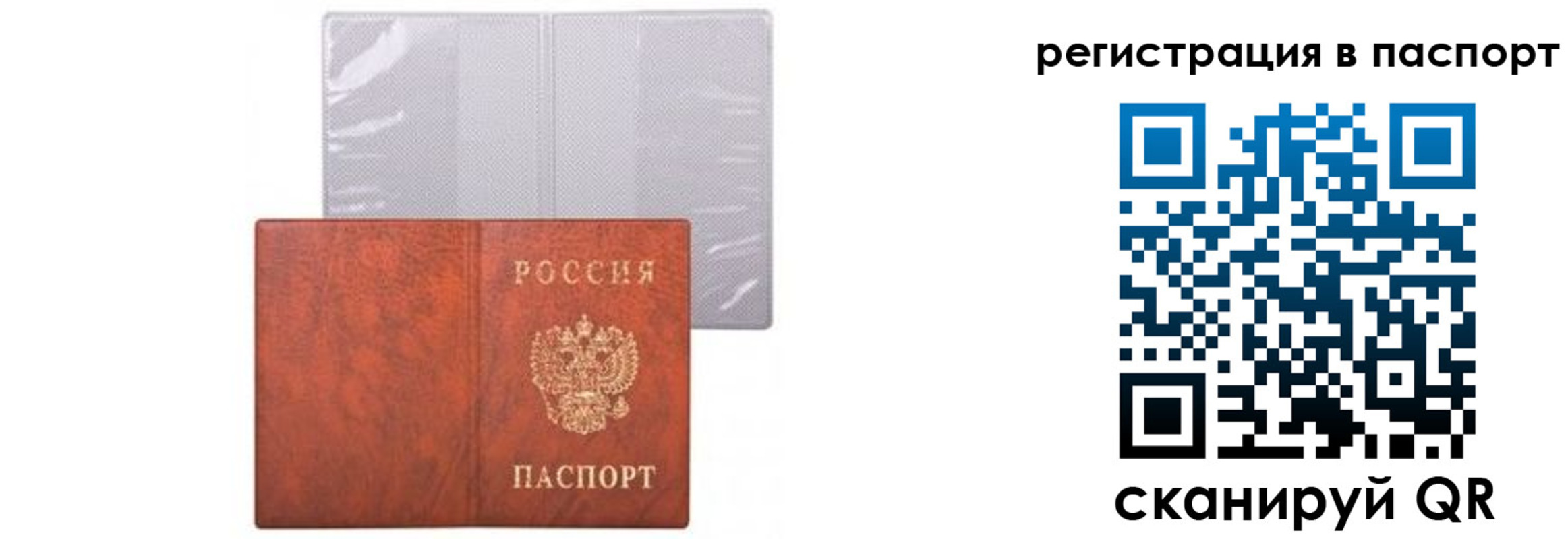 прописка ребенка в Куртамыше